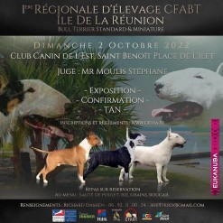 1ère Régionale d'élevage Bull Terrier