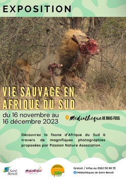 Vie sauvage en Afrique du Sud