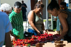 Marché paysan de septembre