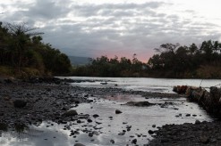 Rivière des Roches : Appel à la vigilance à la suite de la détection de deux cas de leptospirose