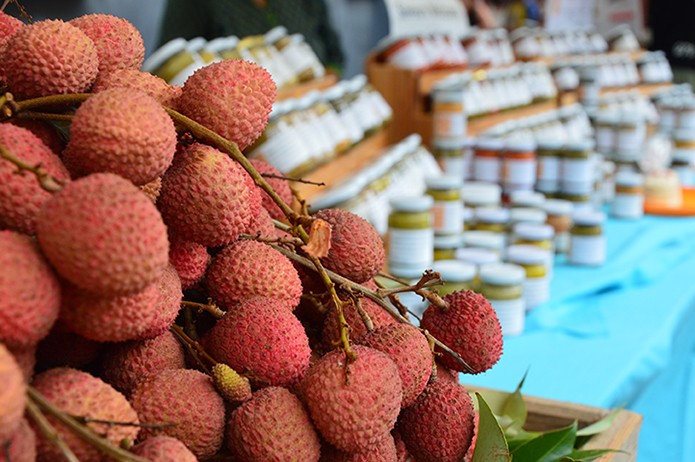 Le terroir au marché couvert