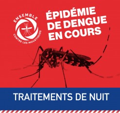 Dengue : traitements de nuit à Bourbier-les-bas