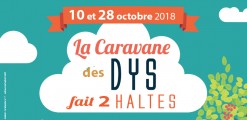 La Caravane des Dys fait une halte à Saint-Benoît