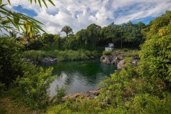 Communiqué ARS : Baignade interdite à Saint-Benoît