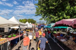 Point sur les marchés de Saint-Benoît : marché forain le samedi et marché des producteurs le mercredi