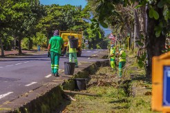 La lutte contre la dengue continue à Saint-Benoît