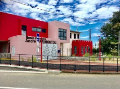 École André Marimoutou : une intervention programmée pour éliminer les poils à gratter