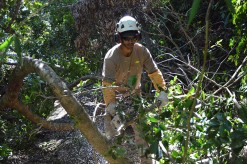 Début des travaux sur le sentier de l’Ilet Bethléem