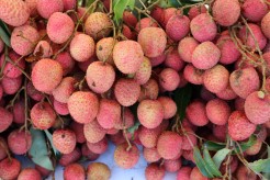 Vente de produits et fruits sur la voie publique : faites votre demande d’AOT