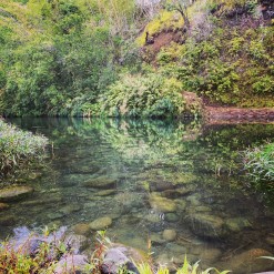 Mauvaise qualité de l'eau : Baignade interdite au Bassin Mangue