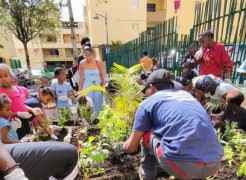 Des jardinières pour lutter contre les dépôts sauvages en pied d'immeubles