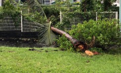 Cyclone Batsirai : reconnaissance de l'état de catastrophe naturelle