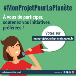 « Mon projet pour la planète » : votez pour les chevaux utilitaires de Rico !