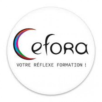 Contrat Alternance " Chargé de clientèle " (H/F) - CEFORA Formation 