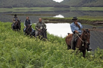 Balades à cheval