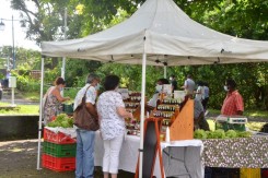 Appel à candidatures - Marché paysan de Sainte Anne