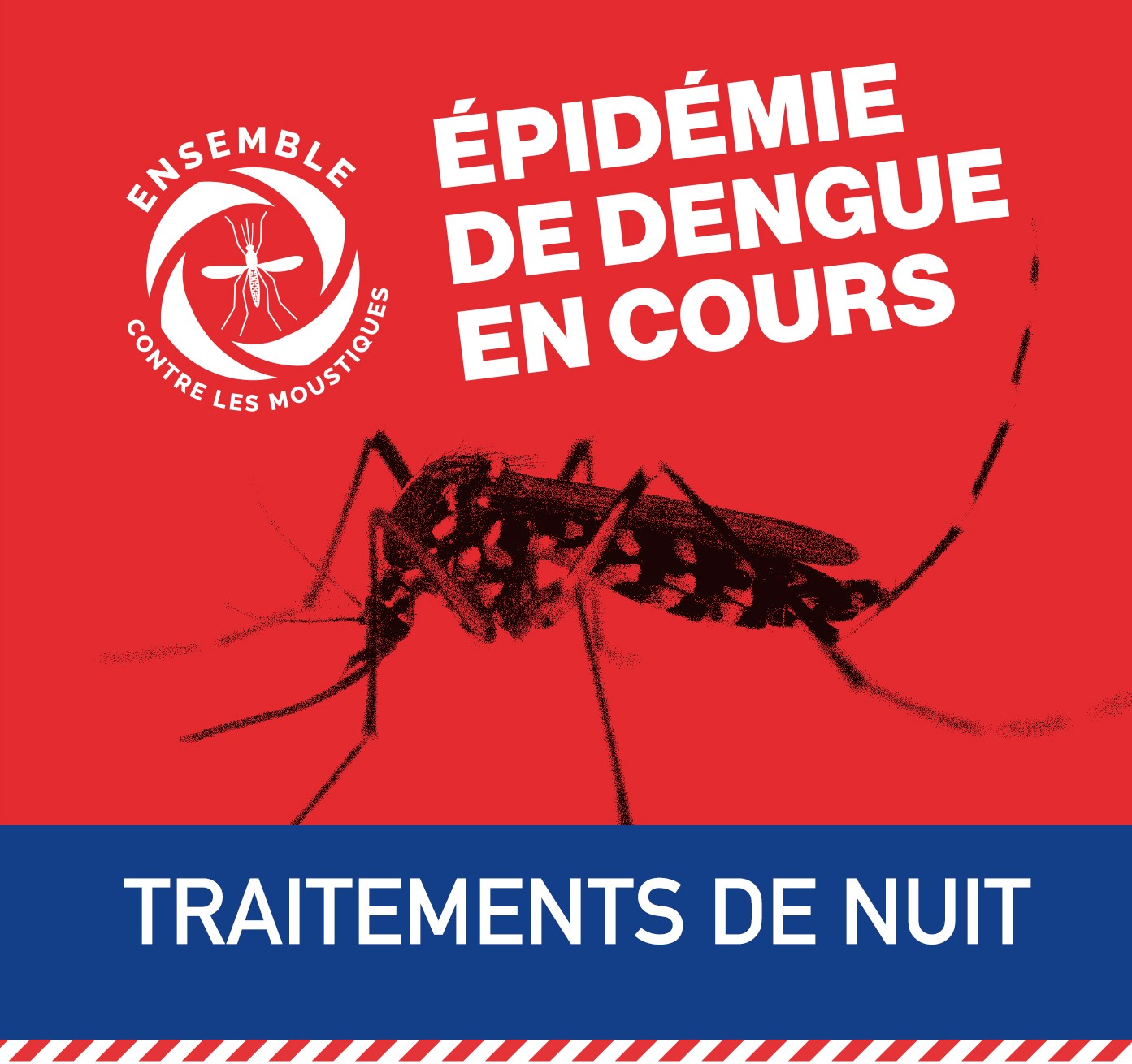 Actualités - Dengue : Traitements De Nuit à Bourbier-les-bas - Ville De ...