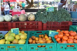 Marché paysan spécial agrumes