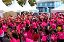 Près de 700 personnes rassemblées pour la grande marche rose