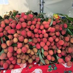 Le marché forain aura lieu ce samedi !