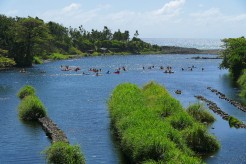 Venez vous initier aux sports nautiques ce dimanche à la Rivière des Roches !