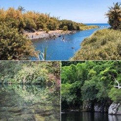 Baignade de nouveau autorisée au bassin bleu, bassin mangue et bassin Bethléem.