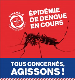 URGENT : L’ÉPIDEMIE DE DENGUE S’ACCÉLÈRE A LA RÉUNION